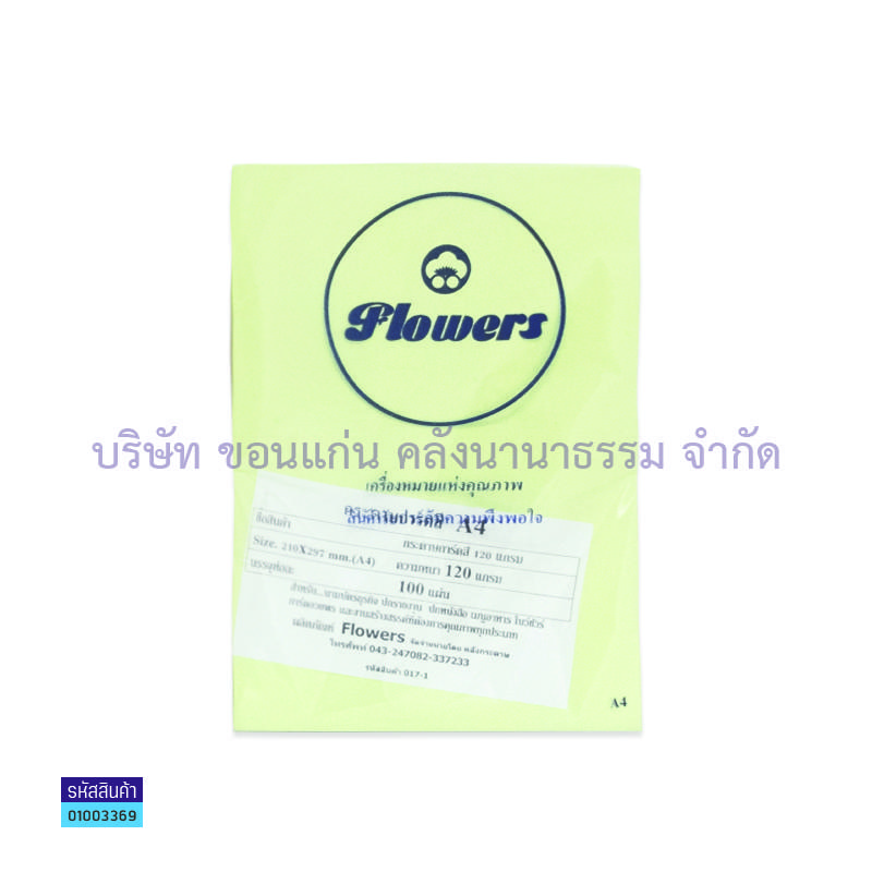 กระดาษการ์ดสี เขียว 120G. A4(100ผ.)