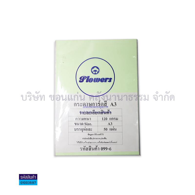 กระดาษการ์ดสี เขียว 120G. A3(50ผ.)(1X10)