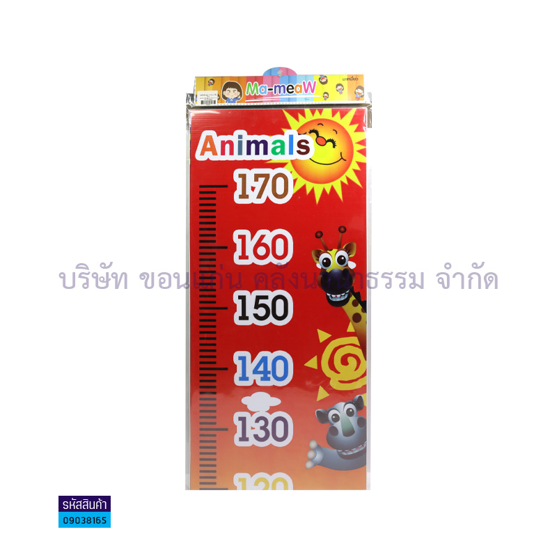 แผ่นพลาสติกลูกฟูก วัดส่วนสูง 170-180ซม. I00001-2 - MM