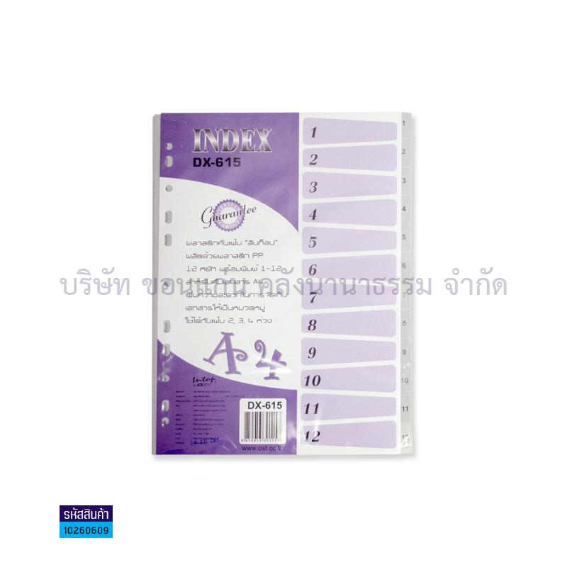 อินเด็กซ์PP INTOP DX-615 A4(12หยัก1-12)