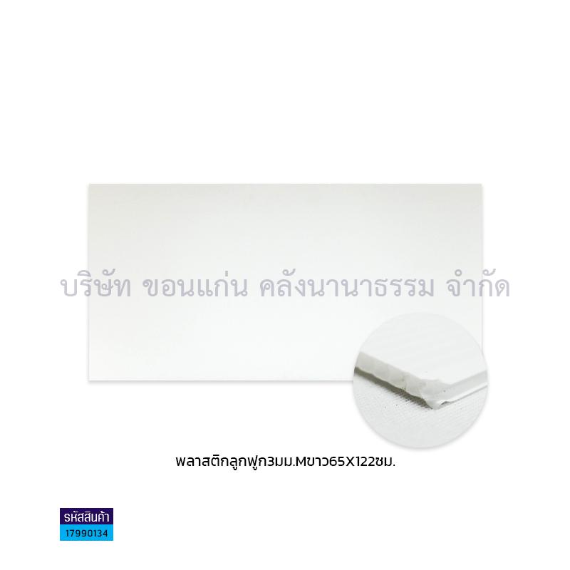 ฟิวเจอร์บอร์ด ขาว 3มม. M(65X122ซม.)(พลาสติกลูกฟูก)