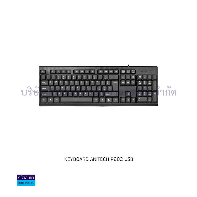 KEYBOARD ANITECH P202 USB