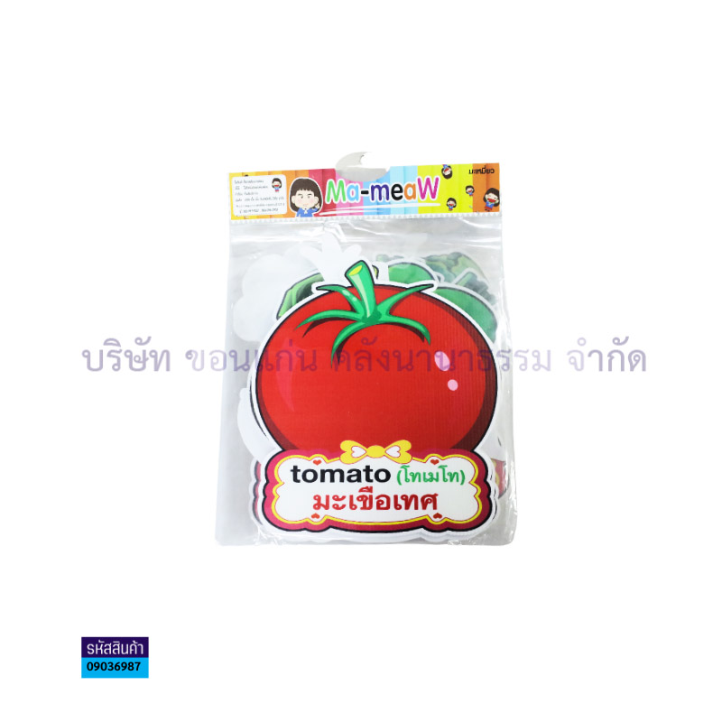 แผ่นพลาสติกลูกฟูก ผักสวนครัวพร้อมคำศัพท์ C00080(10ชิ้น) - MM