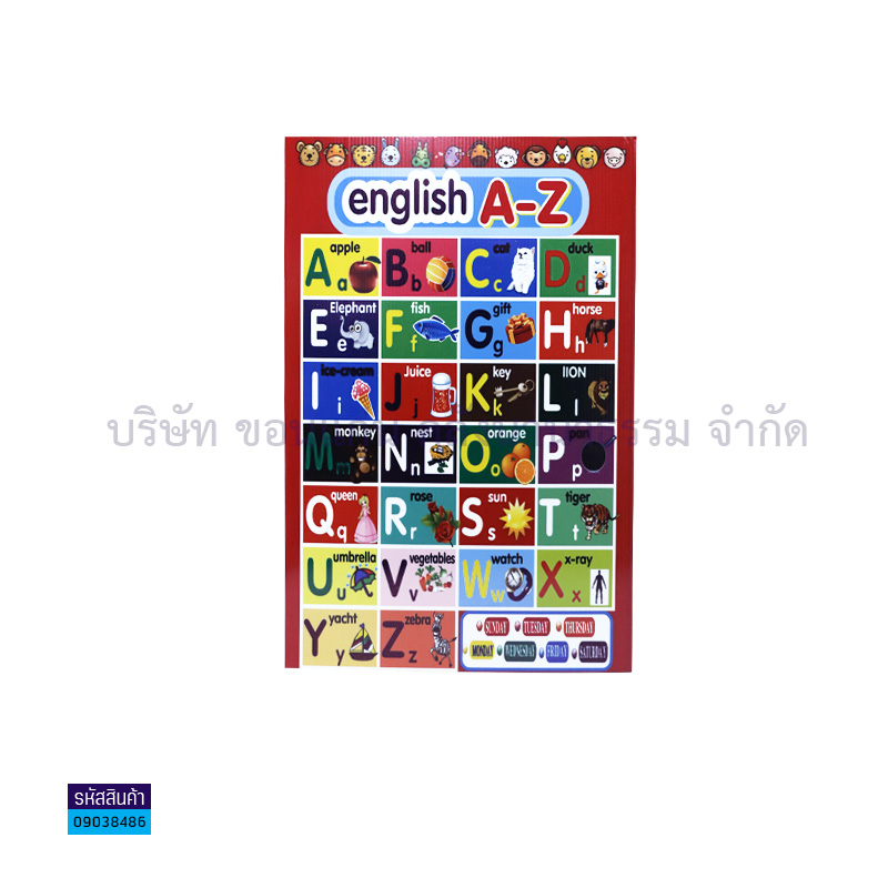 แผ่นพลาสติกลูกฟูก A-Z S00001(32X48ซม.) - MM