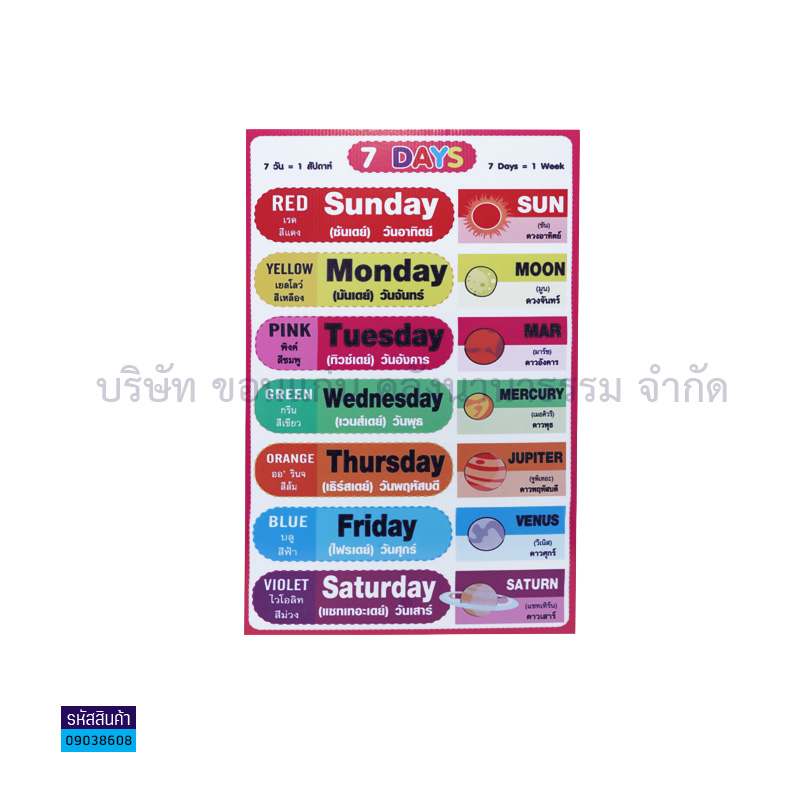 แผ่นพลาสติกลูกฟูก 7 วัน=1 สัปดาห์ S00001(32X48ซม.) - MM