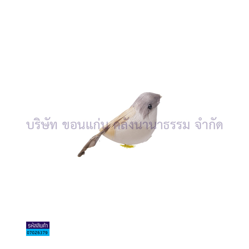 โมเดล นก BIRD057 M(1X12)