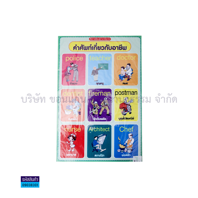 แผ่นพลาสติกลูกฟูก คำศัพท์เกี่ยวกับอาชีพ S00001(32X48ซม.) - MM