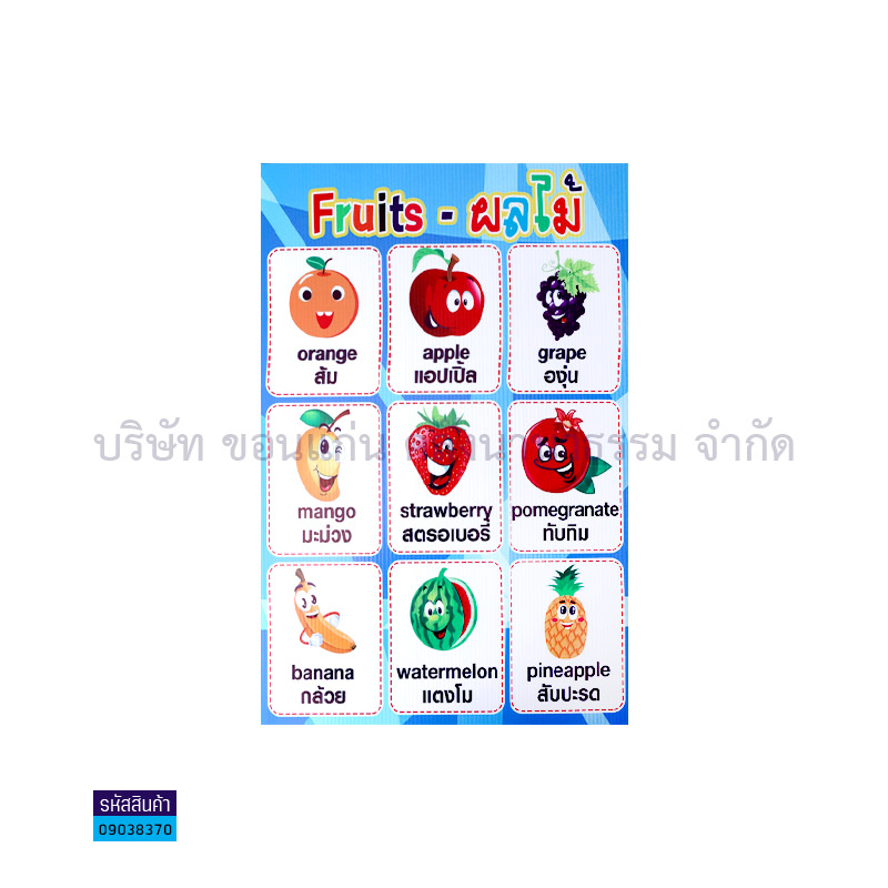 แผ่นพลาสติกลูกฟูก FRUITS-ผลไม้ S00001(32X48ซม.) - MM